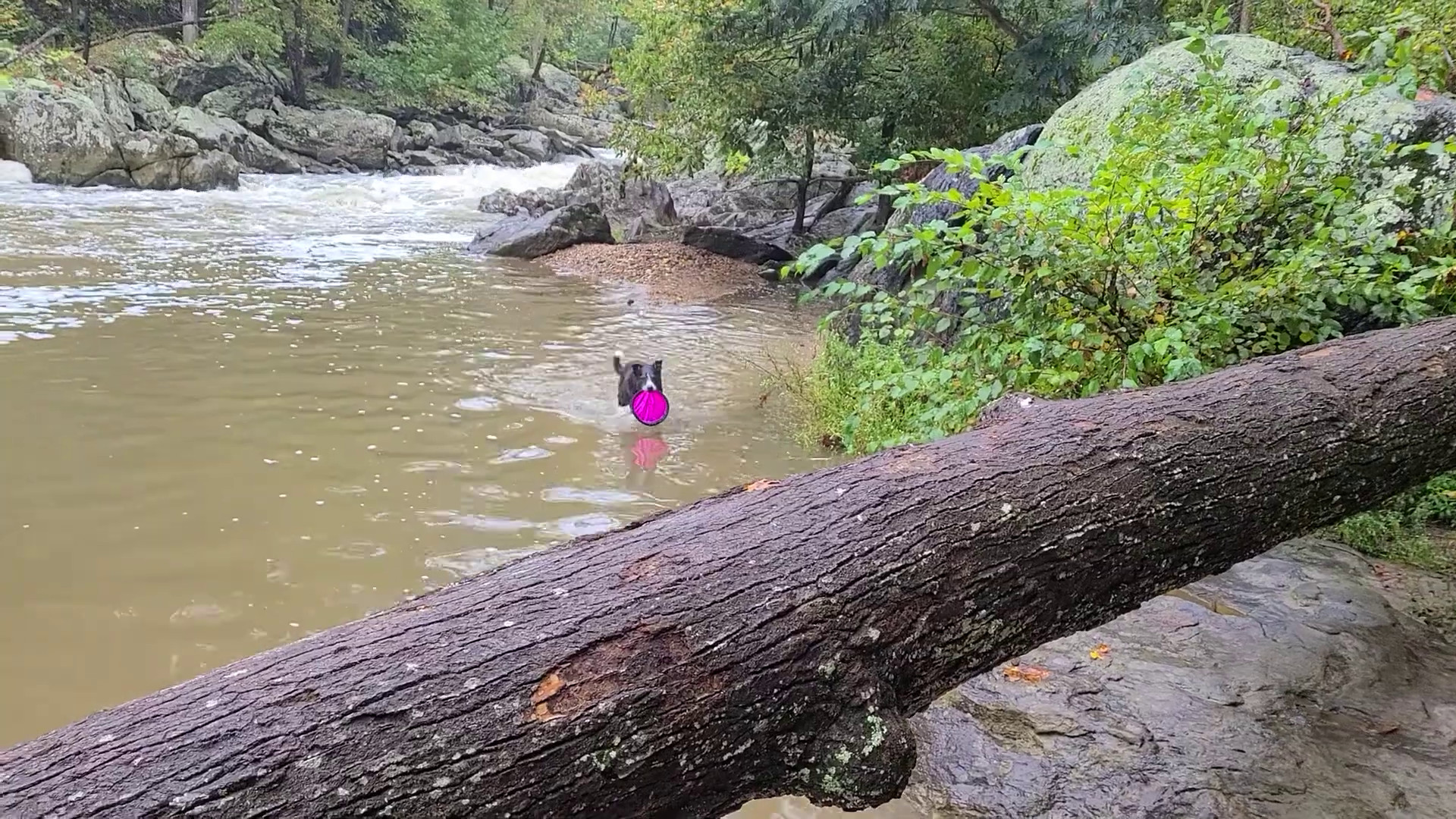A Moment in the Water